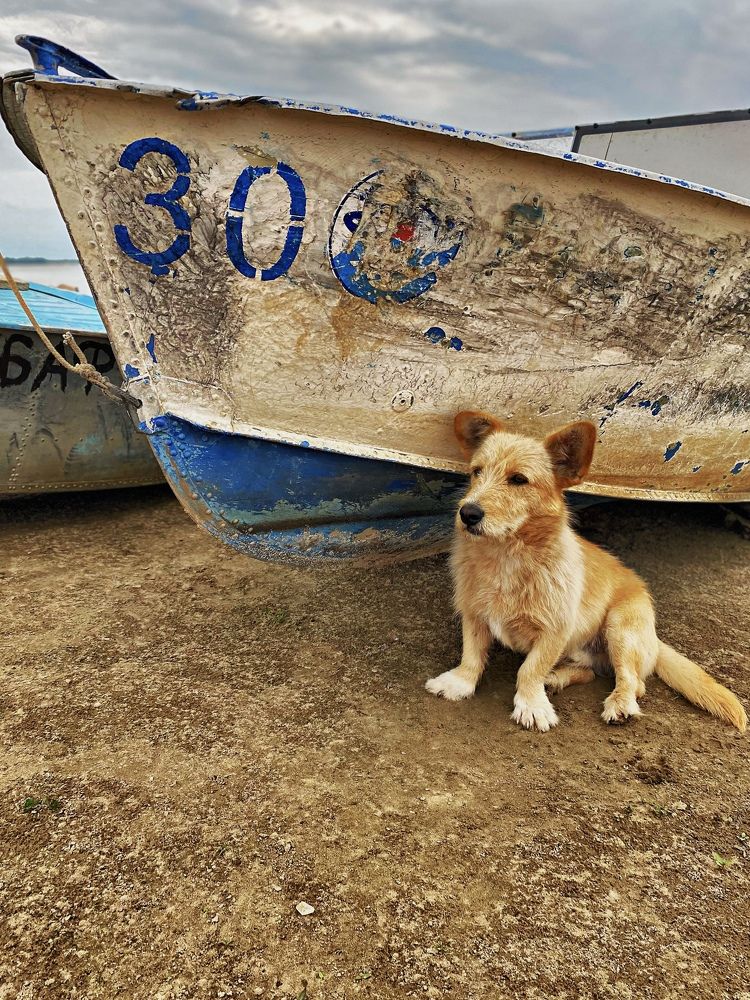 Photograph by Elena Makarova