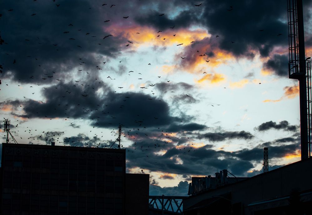 Photograph by Alina Gurfinkel