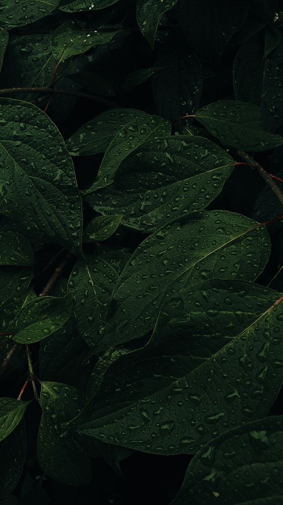 Photograph by Виктор Литошик