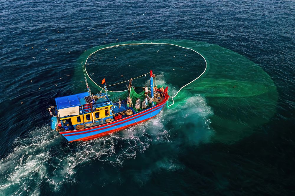 Photograph by Tuấn Nguyễn Anh