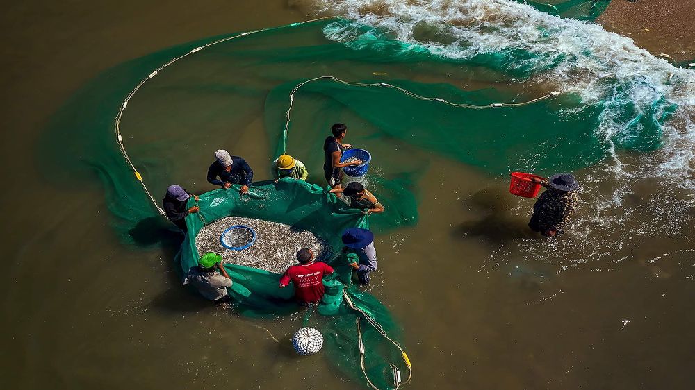 Photograph by Tuấn Nguyễn Anh