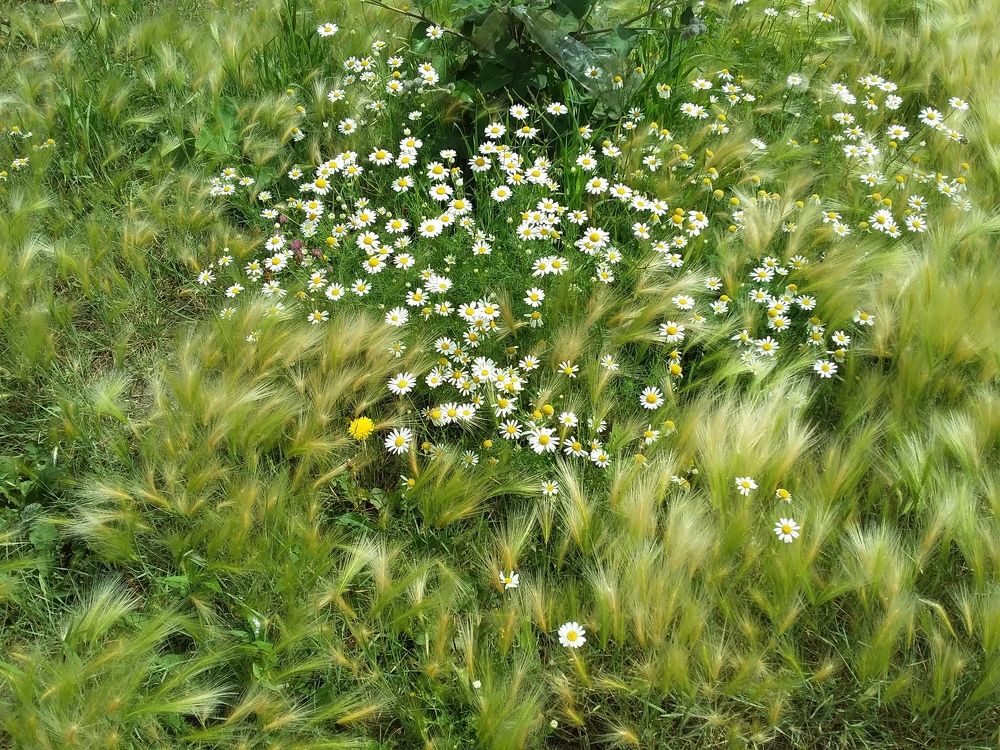 Photograph by Анастасия Кичигина