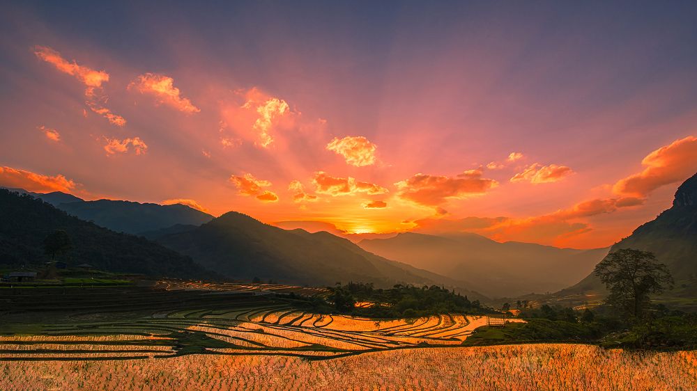 Photograph by Tuấn Nguyễn Anh