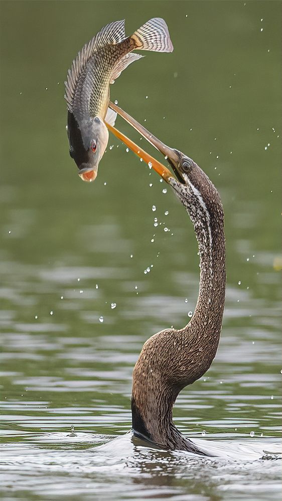 Photograph by Tuấn Nguyễn Anh