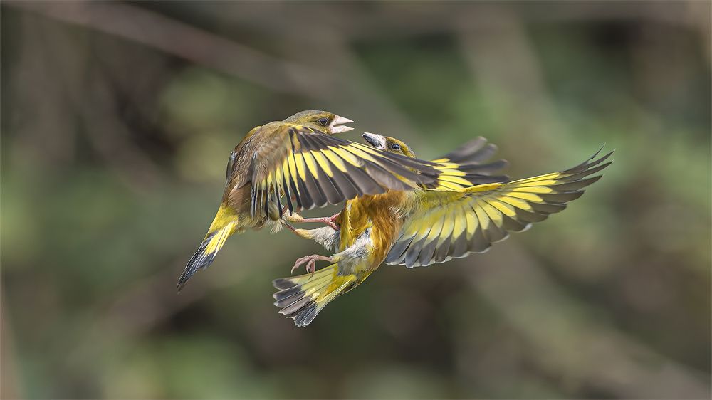 Photograph by Tuấn Nguyễn Anh