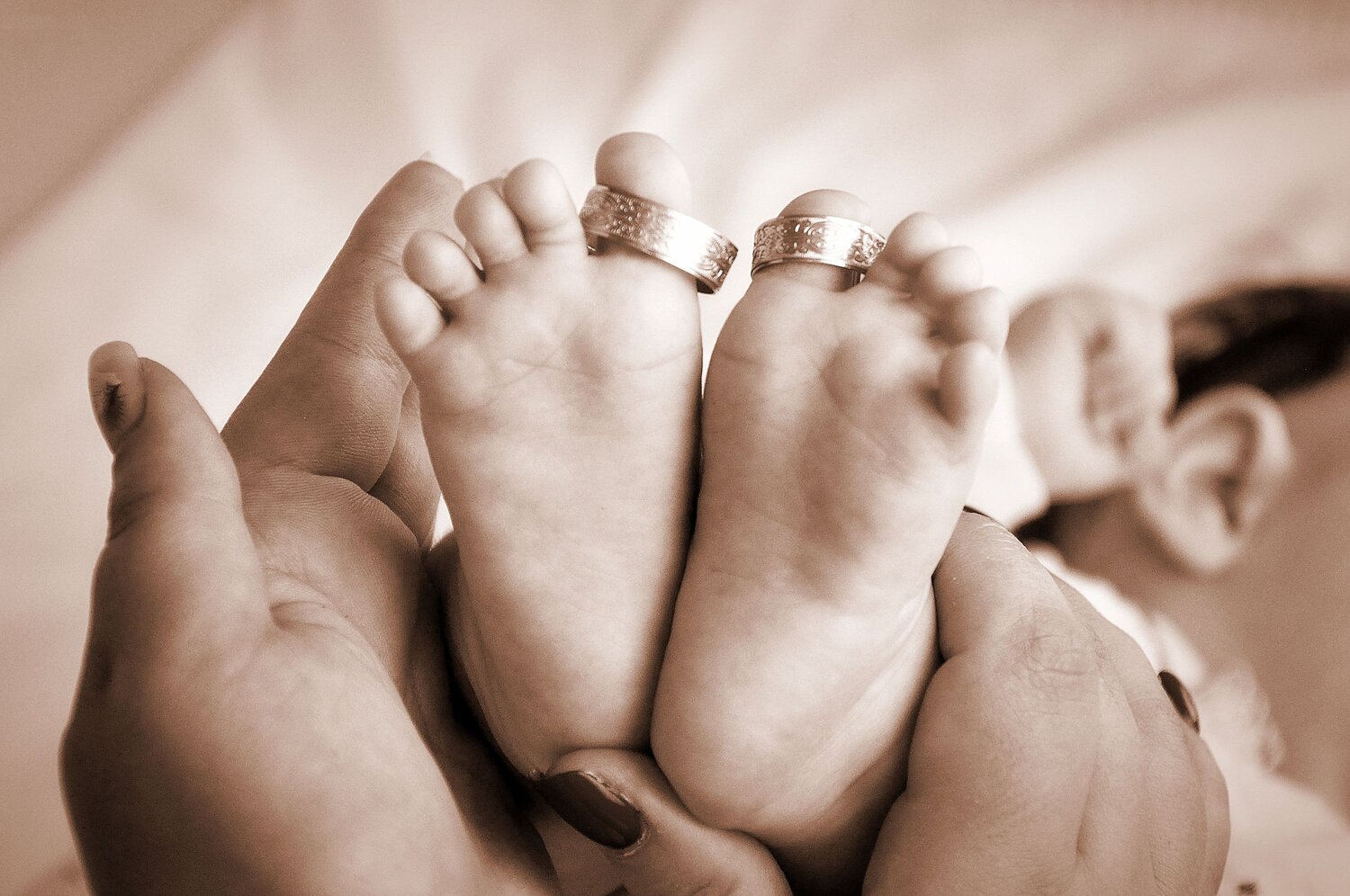 Photo #6360264