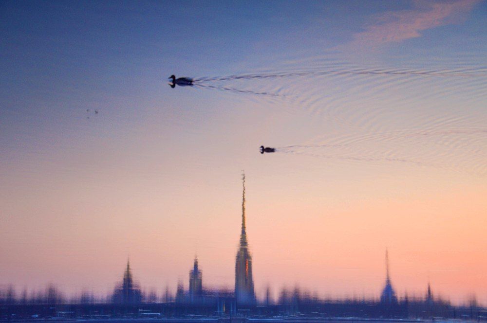 Фотография автора Тюрюханова Дарья