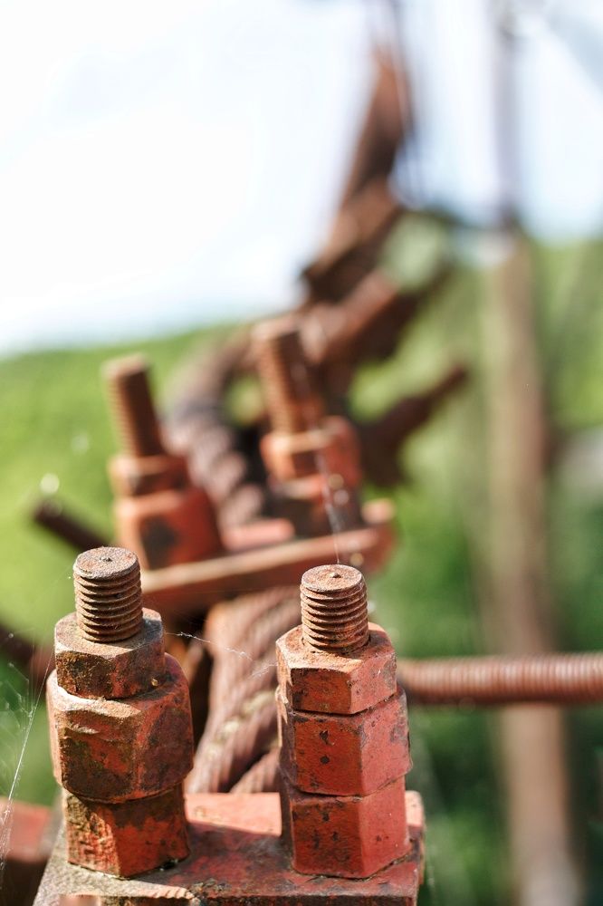 Фотография автора Татьяна Степанова