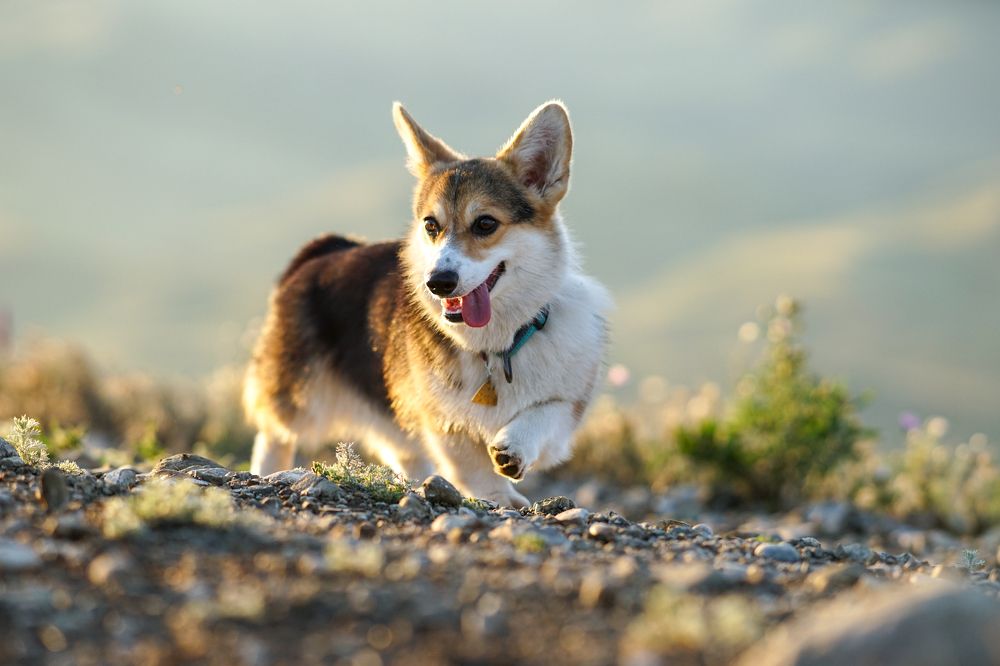 Photograph by Анна