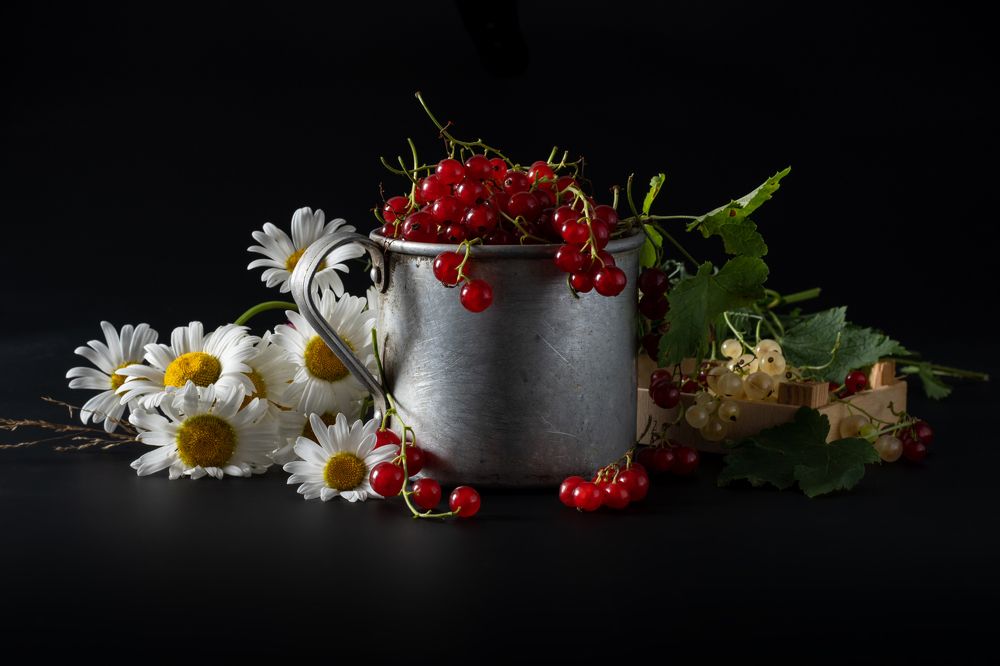 Photograph by Дементьев Владимир