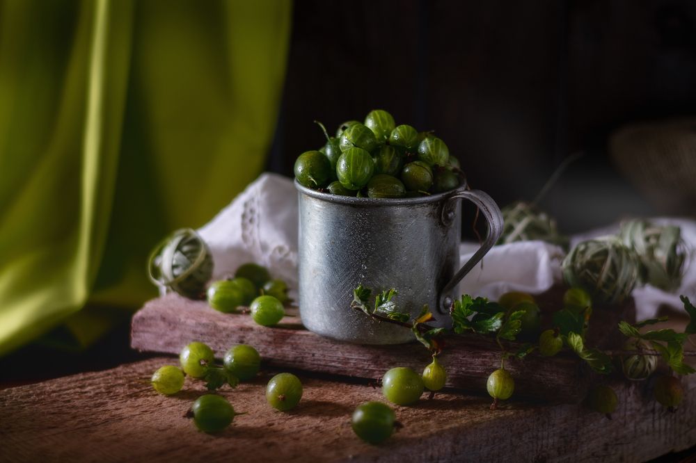 Photograph by Дементьев Владимир