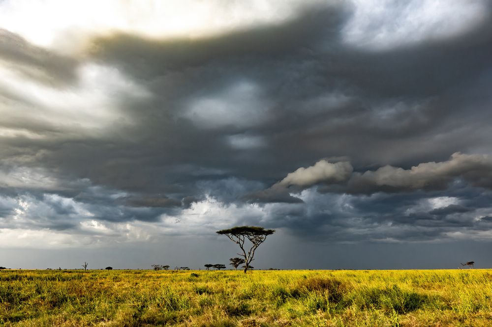 Photograph by Adrian Grigore