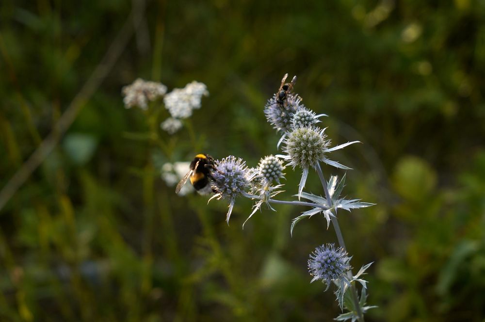 Photograph by Измаил Ефимов