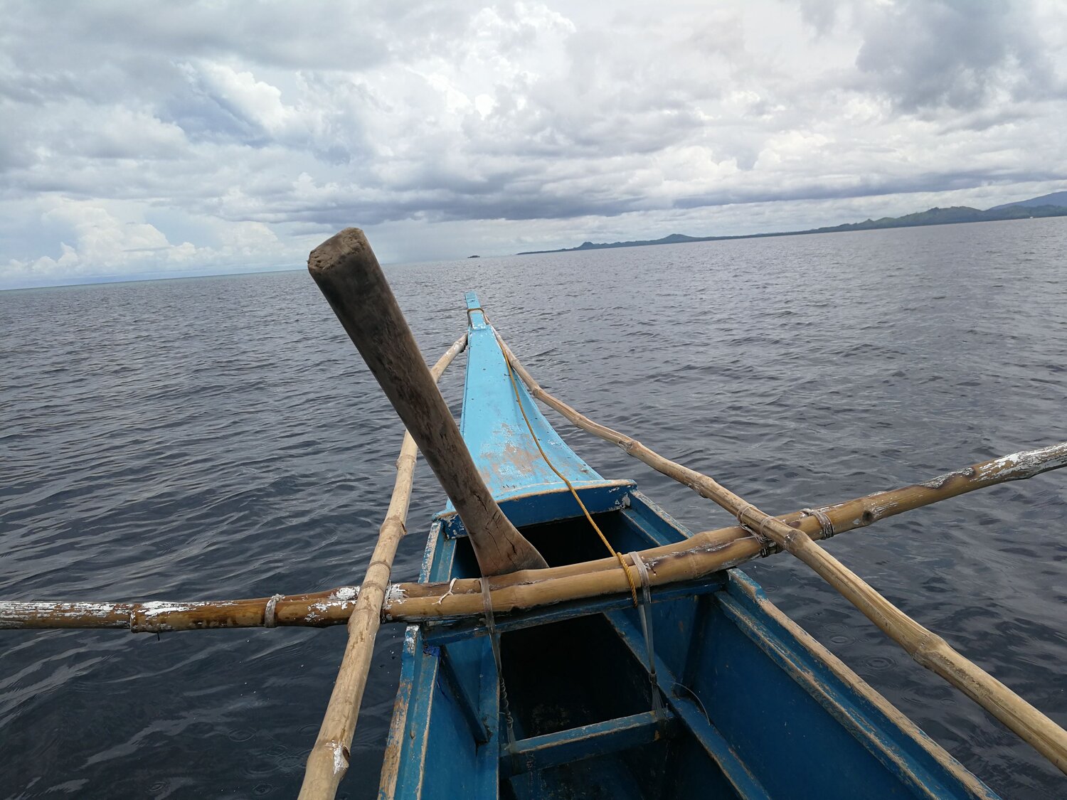Photo #6361056