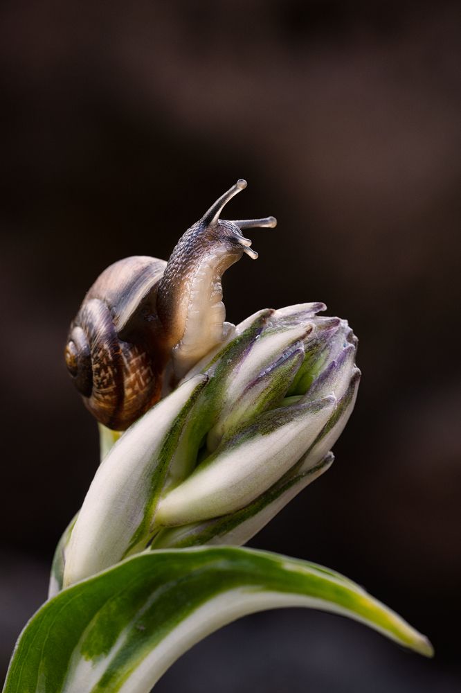 Photograph by Алёна Жаак