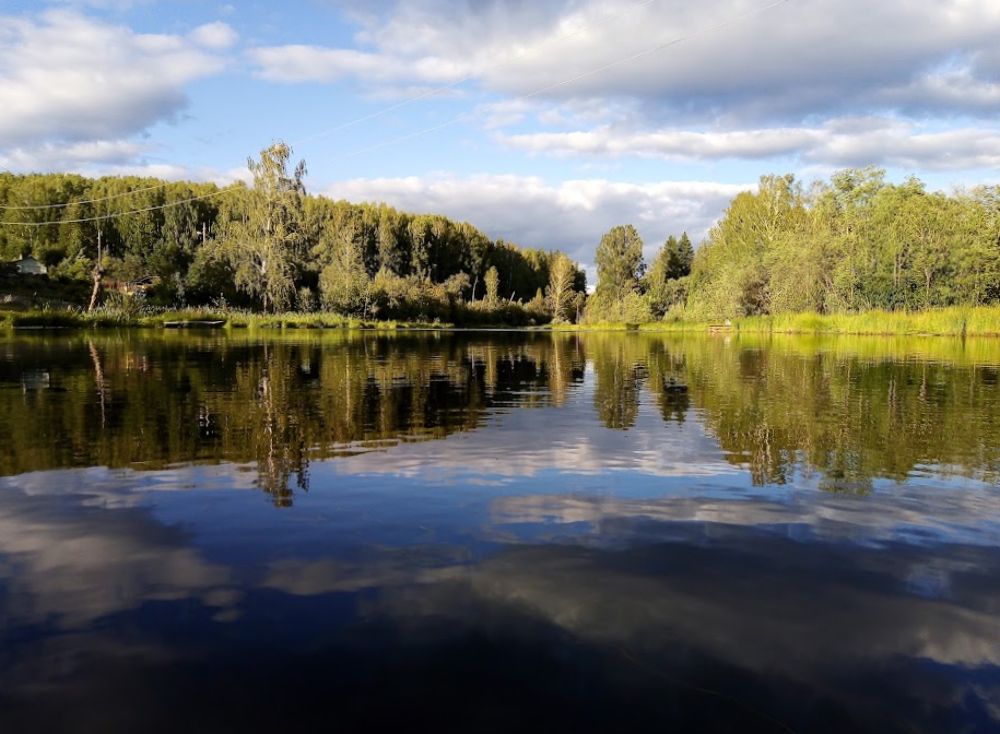Photograph by Виталий Растрепенин