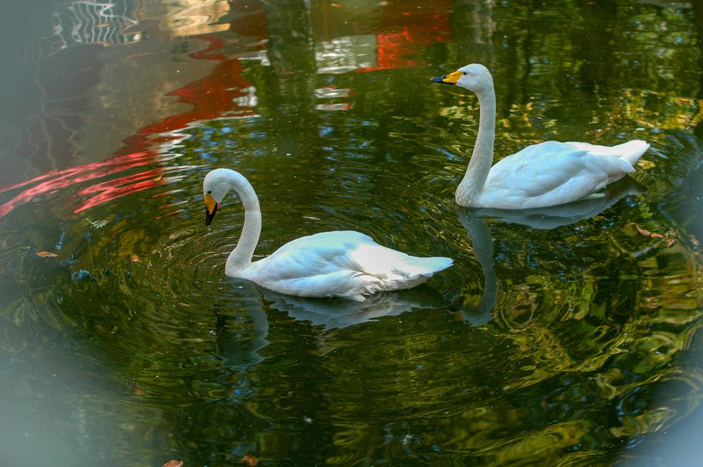 Photograph by Виталий Маслов