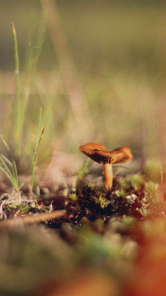 Photograph by Динара Вальчук