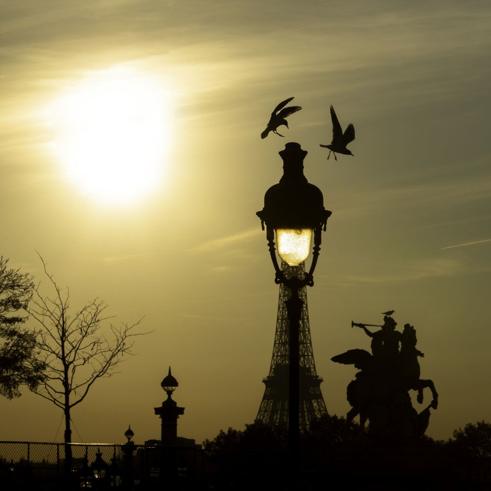 Фотография автора robert bared