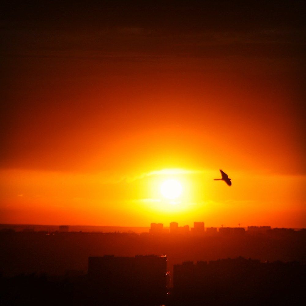 Photograph by Давид Гассиев