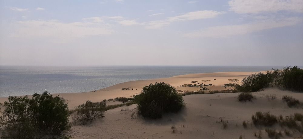 Дюна Эфа. Куршская коса