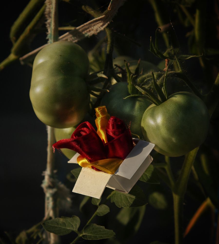 Девчонки, нам новые наряды прислали!