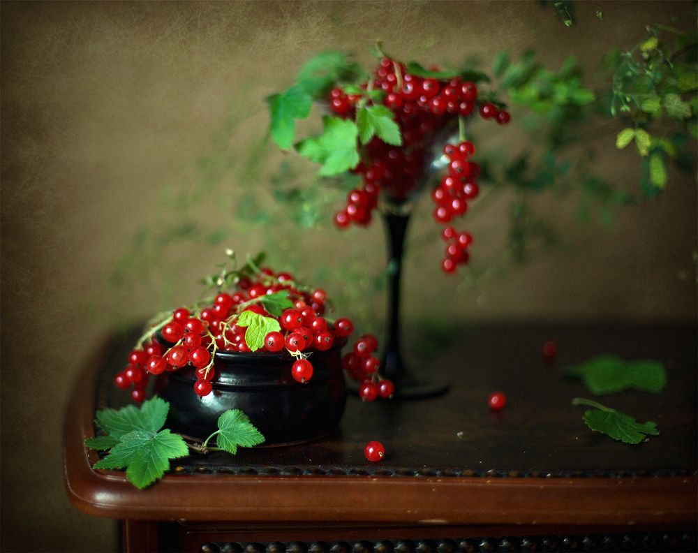 Красная смородина...