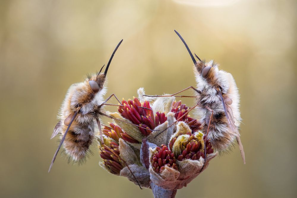 Photograph by Кузнецов Дмитрий