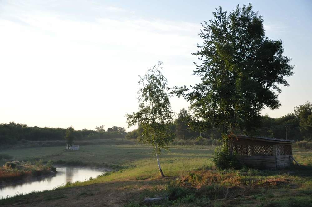 Photograph by Галина Лысых