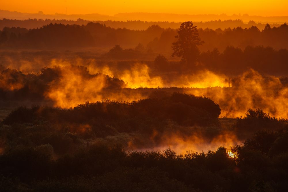 Fogs over Biebrza river during sunrise