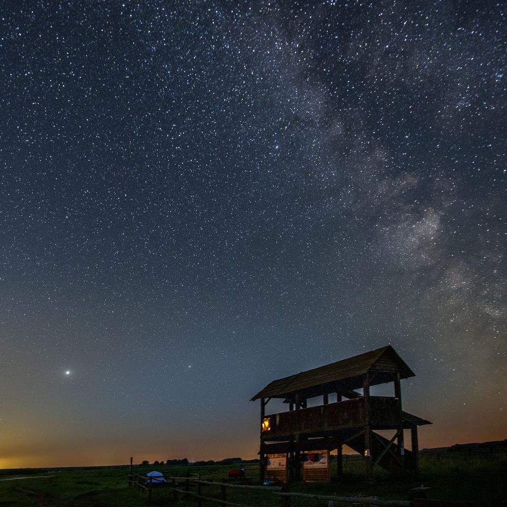 Photograph by Bartosz Skotnicki