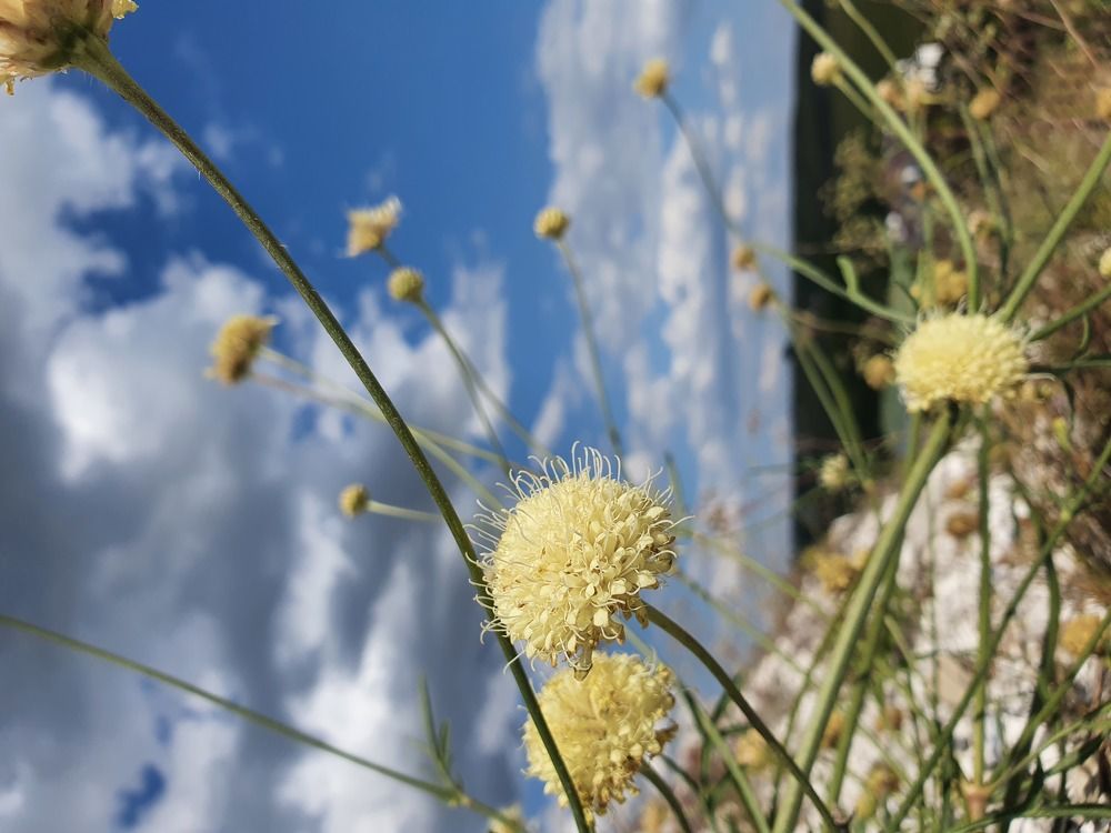 Photograph by Наталья