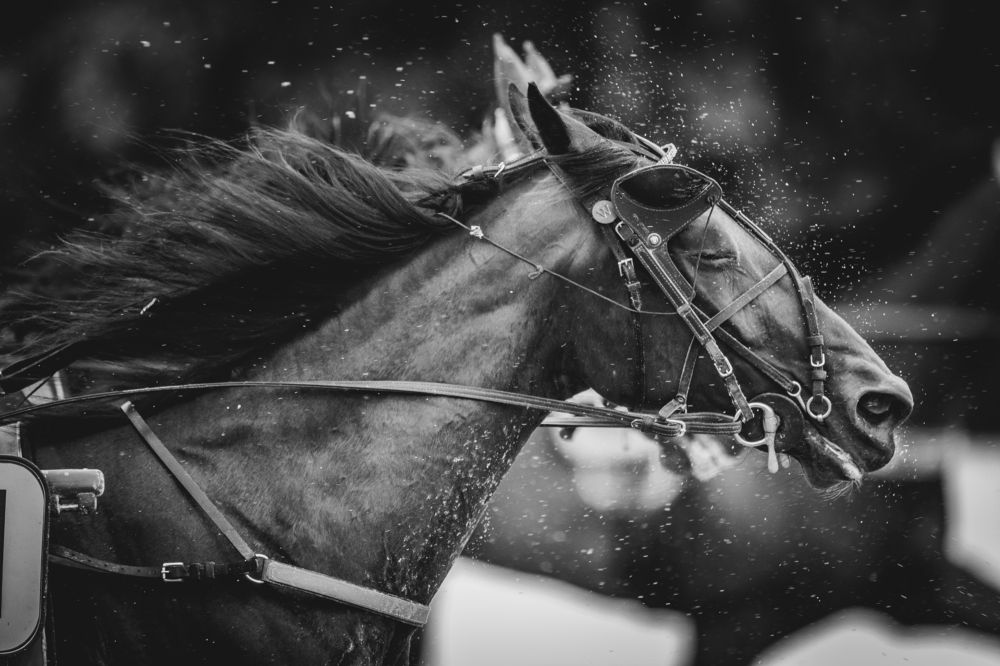 Photograph by Jan Melichar