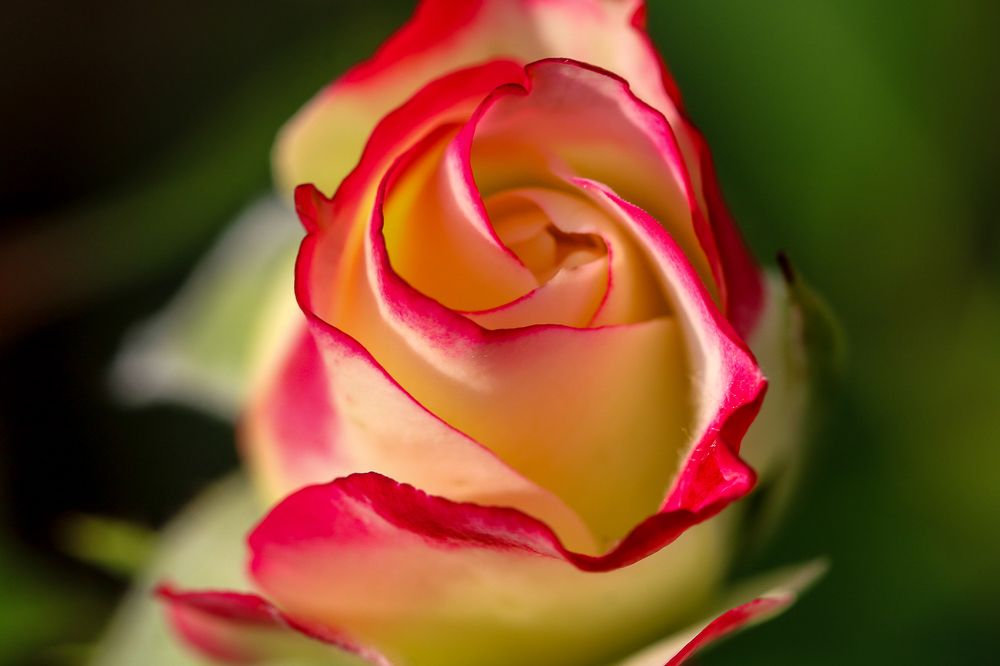 Photograph by Надежда Зайцева