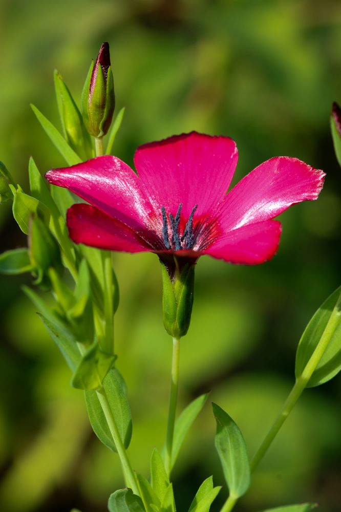 Photograph by Надежда Зайцева