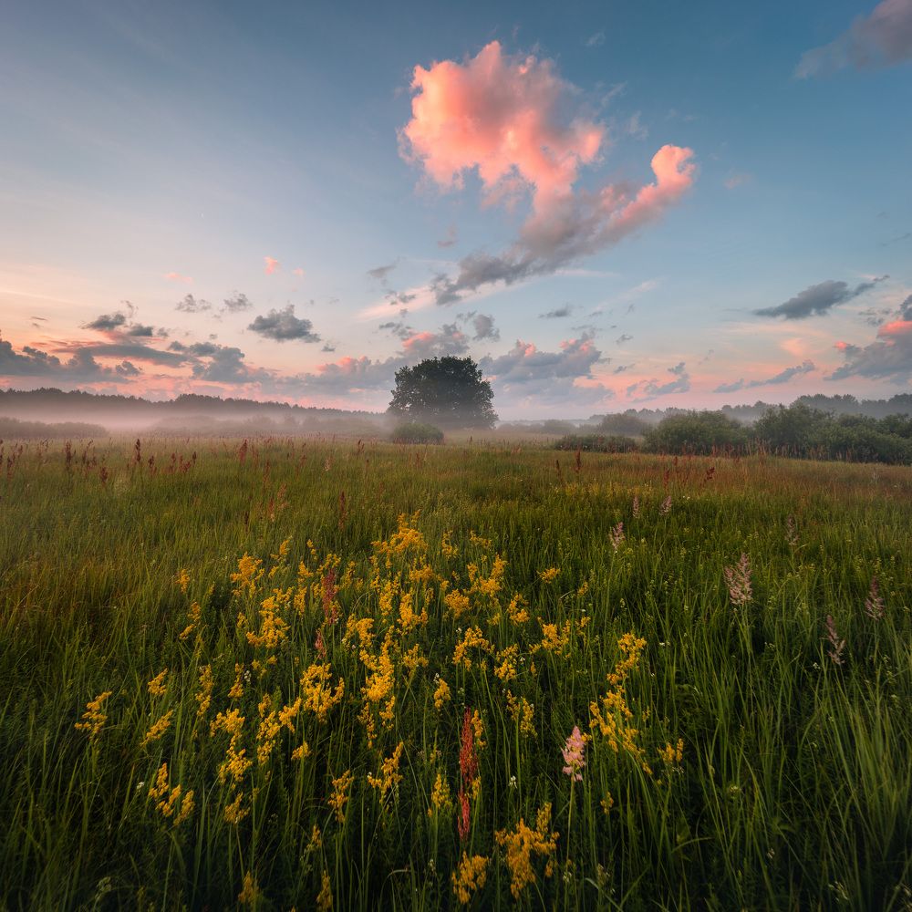 Небесный знак