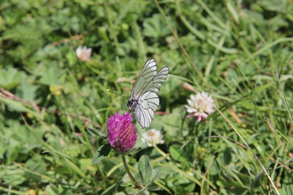 Photograph by Елена Демочкина