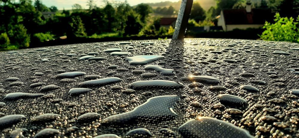 После дождя.