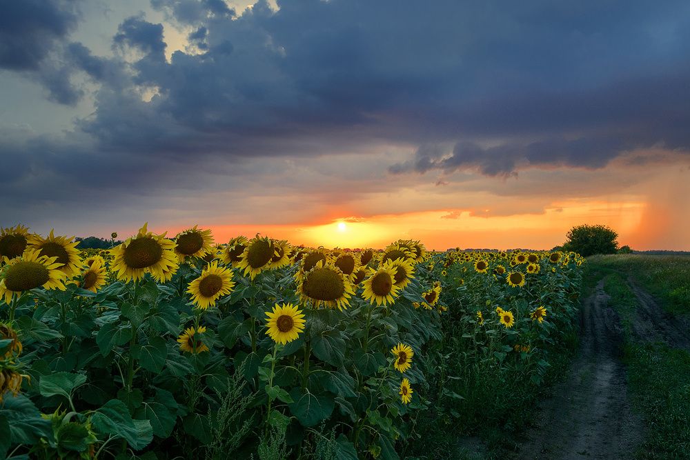 Photograph by Владислав Никишин