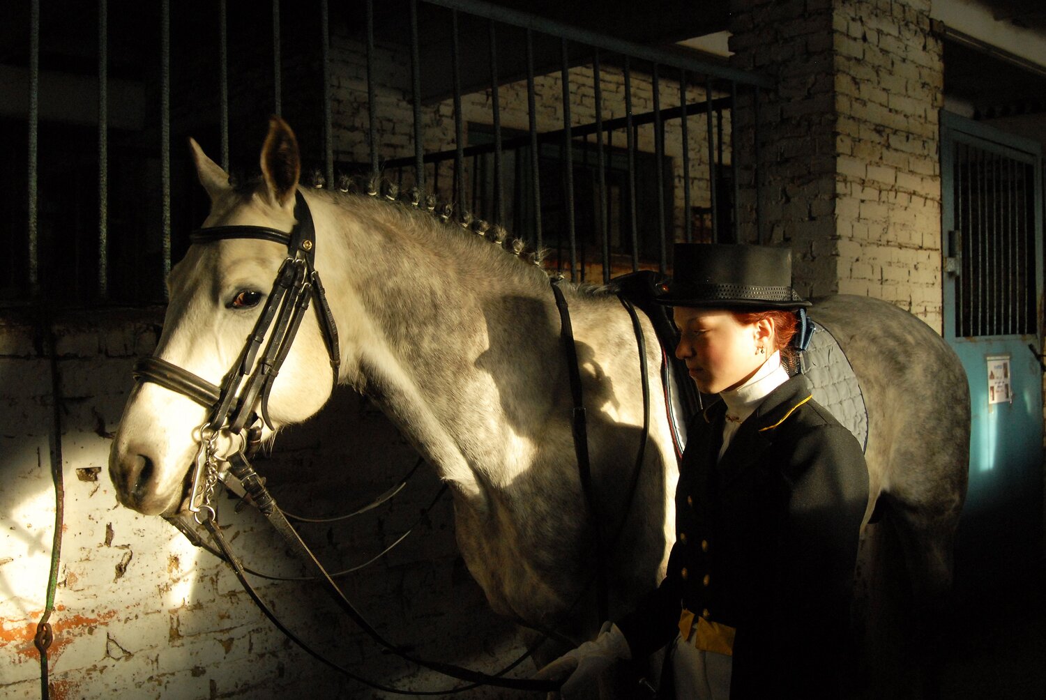 Photo #6363034