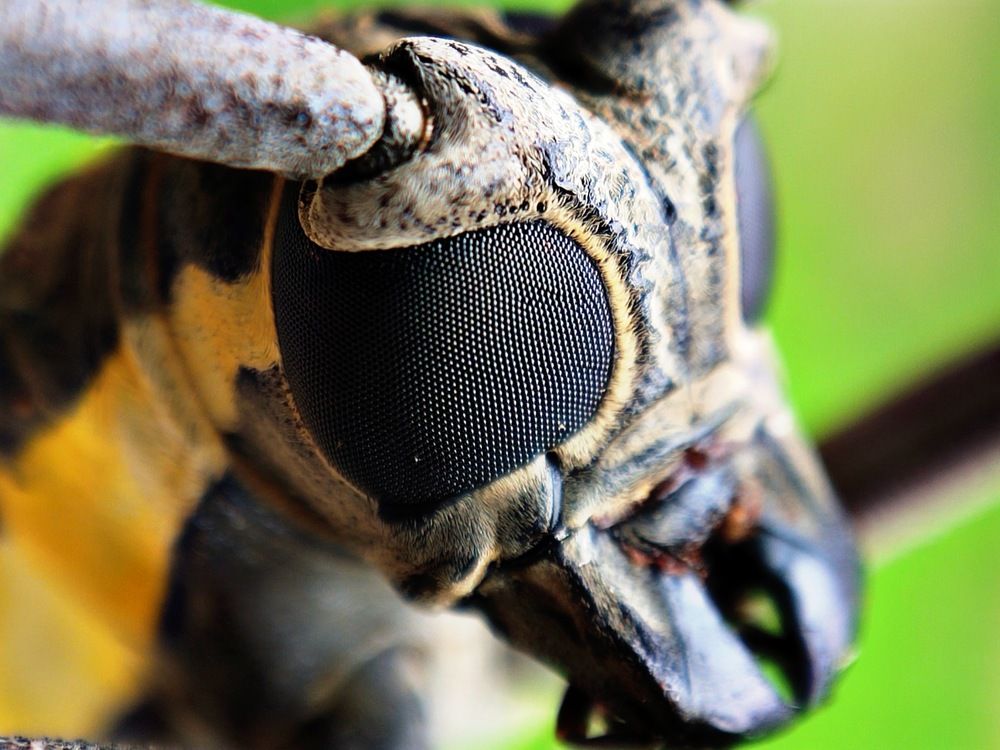 Photograph by Bhavesh Bokade