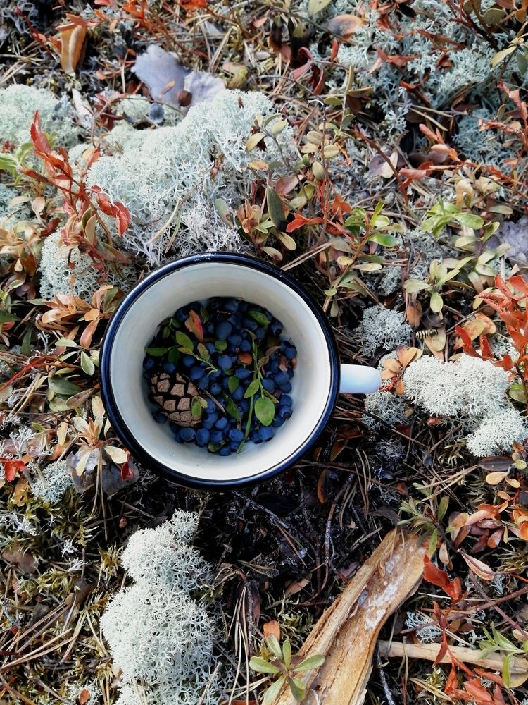 Photograph by Полина Белокопытова