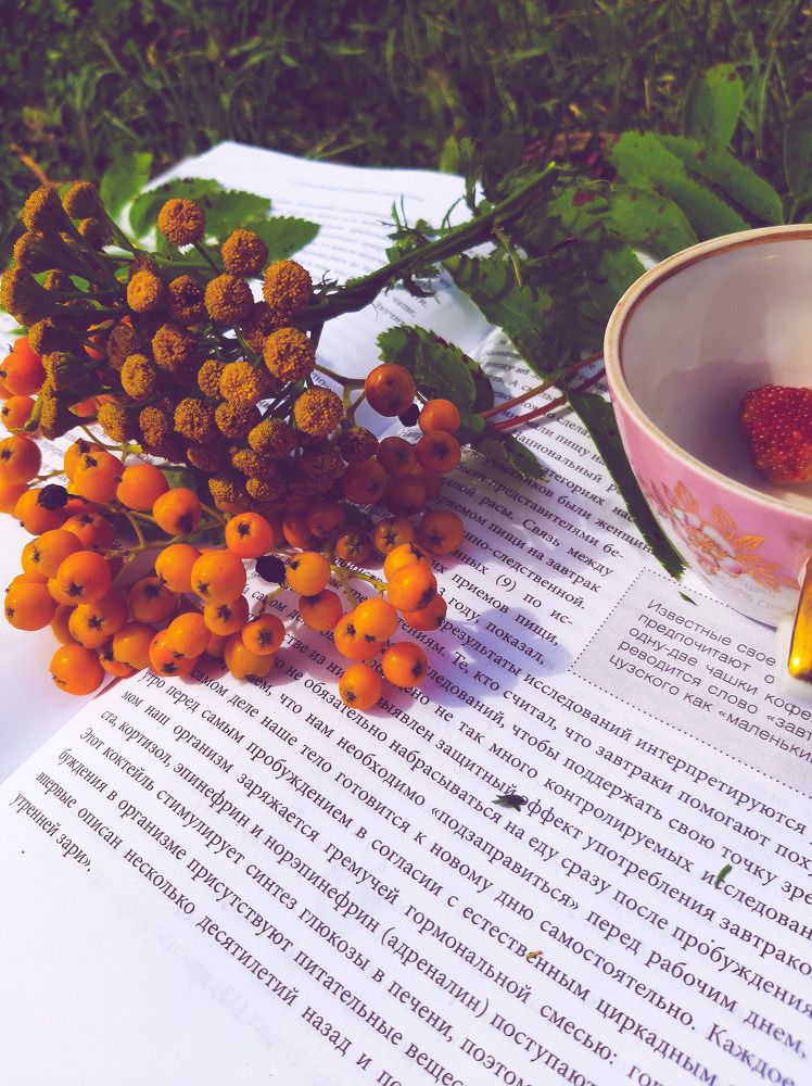 Photograph by Iljana Luksa