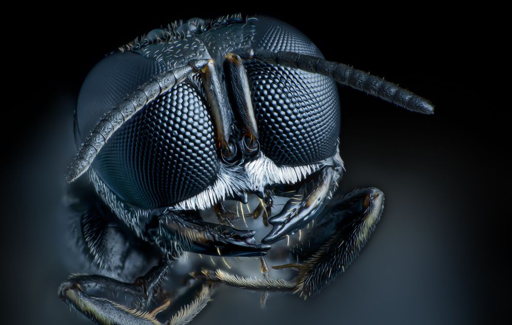 Photograph by Hall Stefanie