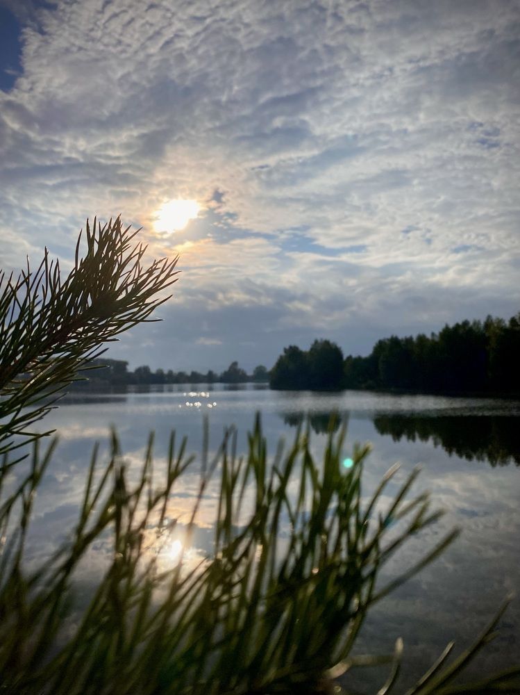 Photograph by Алина Соколова