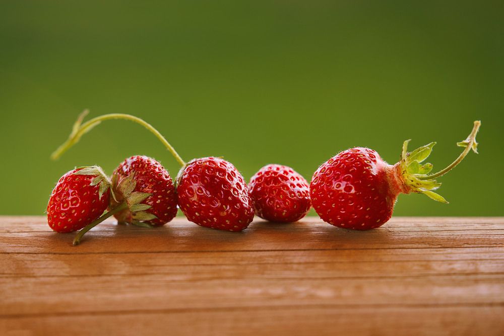 Photograph by Оксана Сироштан