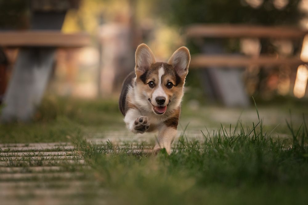 Photograph by Динара