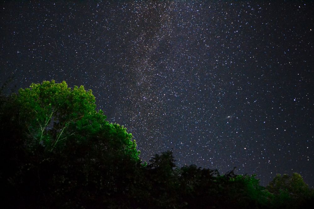 Photograph by Алексей Перегудин