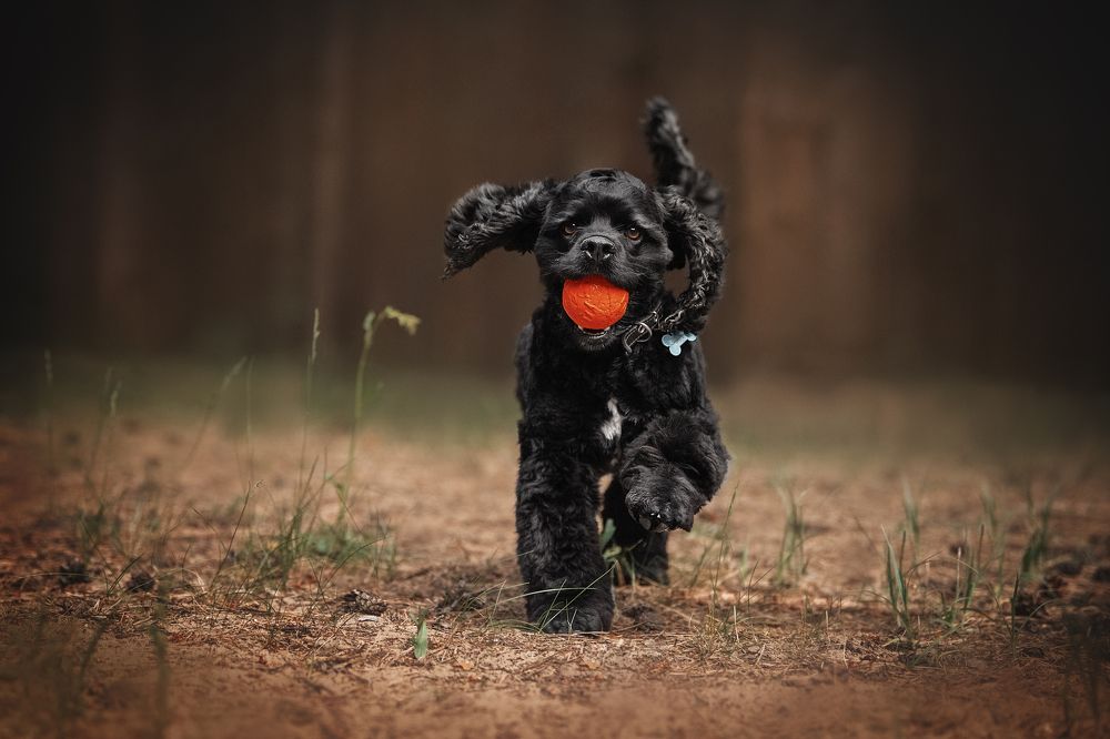 Photograph by Динара