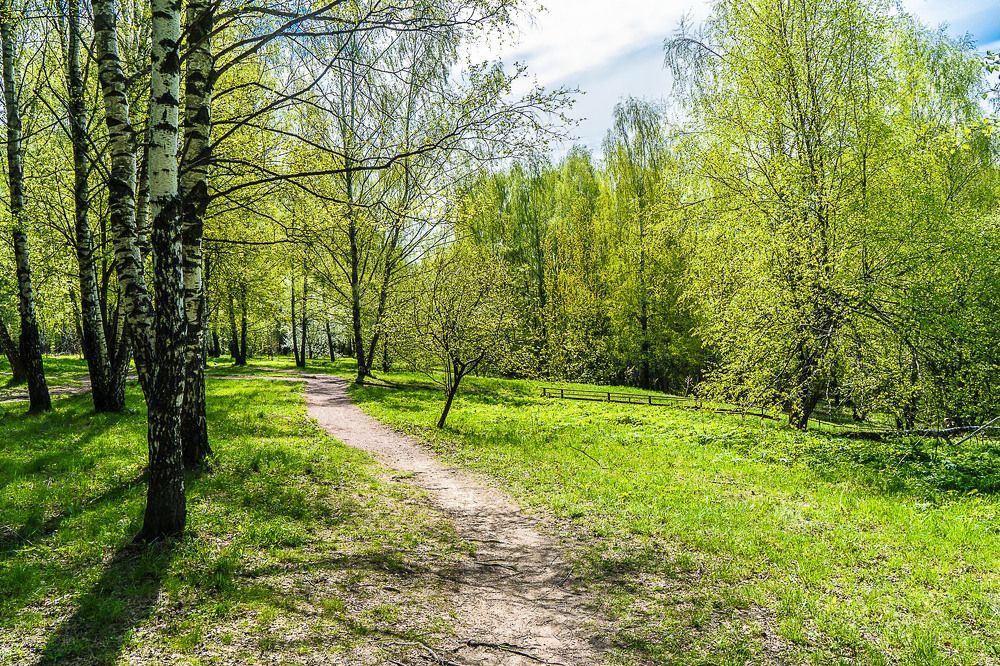 Майская зелень